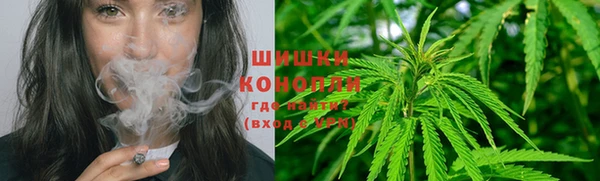 спиды Аркадак