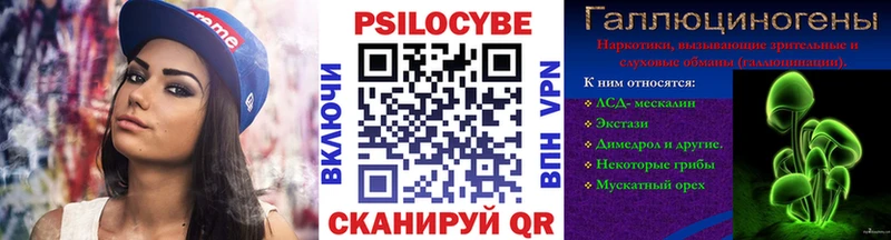 как найти закладки Каспийск Псилоцибиновые грибы Psilocybe