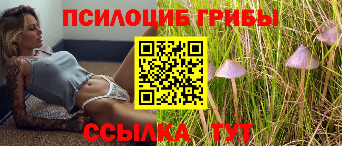 Галлюциногенные грибы прущие грибы  Вход с VPN  Галлюциногенные грибы Psilocybe  Каспийск 